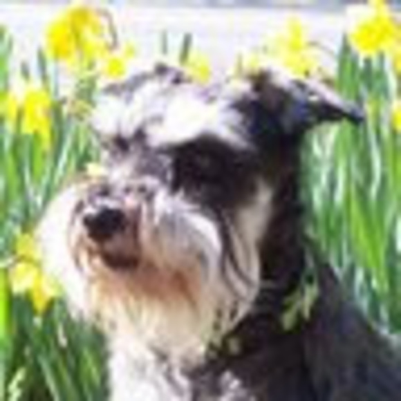 Meet your Posher, Lori - Picture 1 of 1